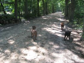IMG_2626.jpg