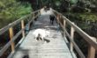 20160704_122614.jpg
