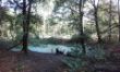 20161003_122843.jpg